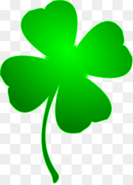 Four-Leaf Clover Image - Symbol of Good Fortune & St. Patrick’s Day