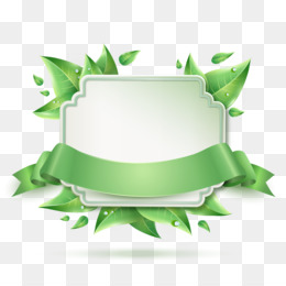 Green leafy frame with ribbon and blank label for eco-friendly or natural product branding.
