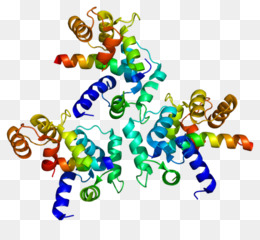 Colorful 3D ribbon diagram of a protein structure showing alpha helices and beta sheets.
