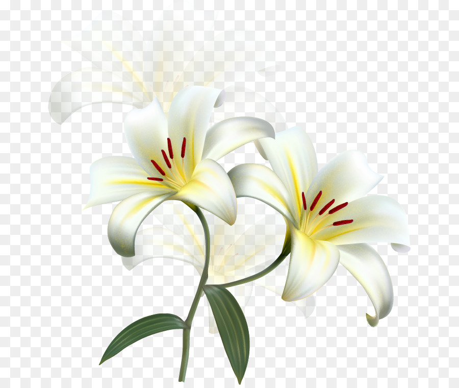 Download HD Easter Lily Christian Cross Flower Funeral Clip Art - Clip ...