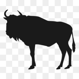 Black silhouette of a bison standing in profile against a transparent background.