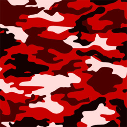 Red Camouflage Pattern Background - High-Resolution Digital Texture