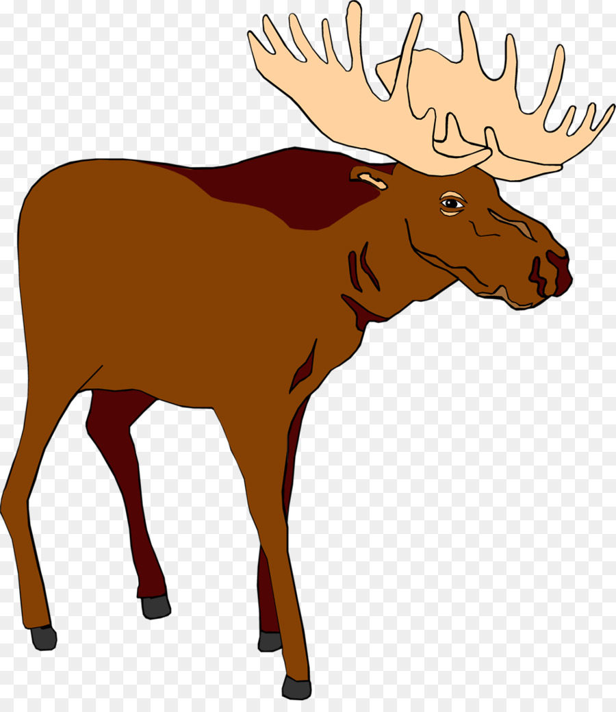 Illustration of a brown moose with large palmate antlers standing in profile against transparent background.