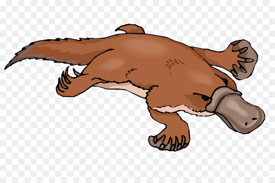 Cartoon illustration of a brown platypus swimming with webbed feet and a duck-like bill.