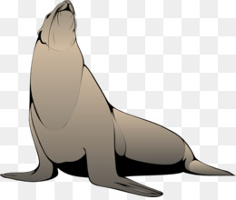 A cartoon-style sea lion sitting upright with head tilted upward, against transparent background.