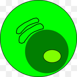 Green circular icon with concentric rings and two curved shapes, resembling a stylized eye or target.