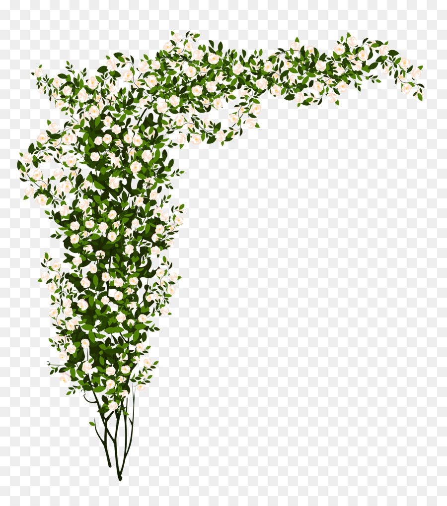 Delicate white rose vine forming an elegant L-shaped floral border with lush green leaves on transparent background.