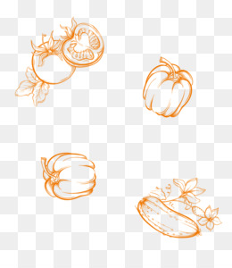 Hand-drawn orange sketches of tomato, pumpkin, bell pepper, and zucchini on transparent background.