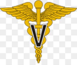 Golden caduceus medical symbol with a bold black-and-white letter 'V' at its center, set against a transparent background.