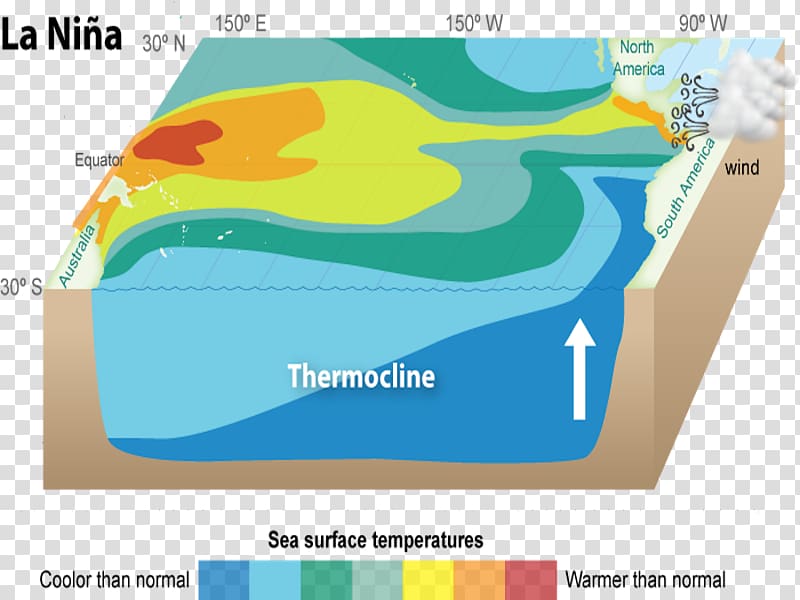 Diagram illustrating La Niña conditions with cooler-than-normal sea surface temperatures in the eastern Pacific and thermocline depth changes.