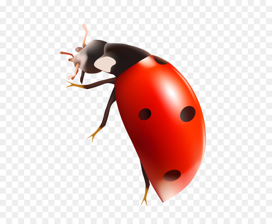 Realistic red ladybug with black spots, glossy shell, and visible legs and antennae on transparent background.