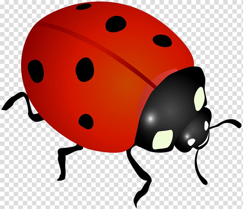 Ladybug Illustration - Free PNG Clipart for Educational and Design Use