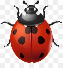 A vibrant red ladybug with black spots and a glossy black head, shown in a detailed vector illustration.