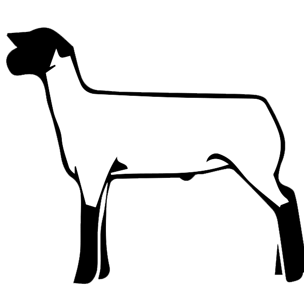 Black-headed, white-bodied sheep silhouette on green background, stylized side profile.