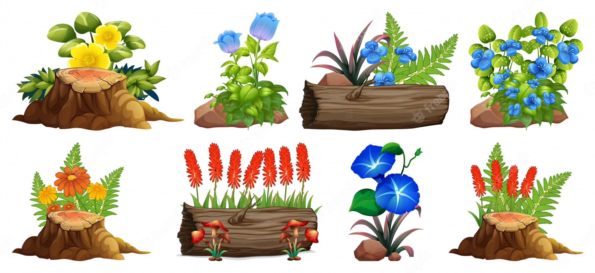 Eight illustrated plant arrangements featuring flowers, ferns, mushrooms, and logs in vibrant colors on white background.