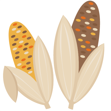 Autumn Corn Illustration - Harvest Season Graphic for Food & Farming Content