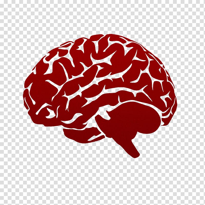 Red stylized human brain illustration with visible gyri and sulci on transparent background.
