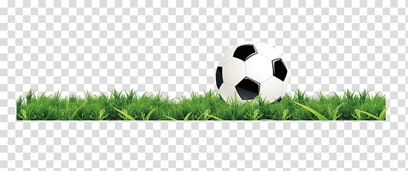 Soccer Ball on Grass - High-Quality PNG for Sports Design