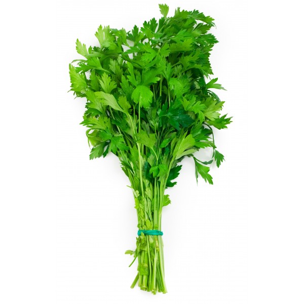 Fresh Parsley Bunch - Vibrant Culinary Herb for Cooking & Garnishing