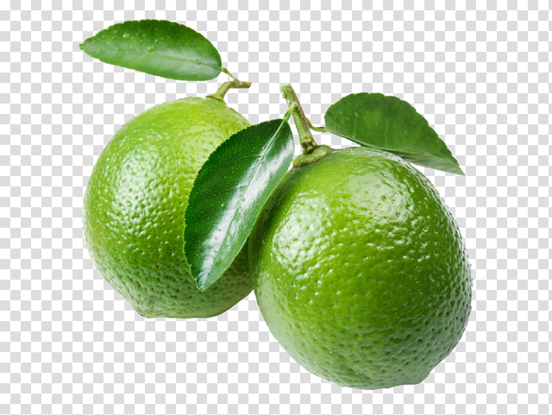 Two fresh green limes with glossy skin and attached leaves on a transparent background.