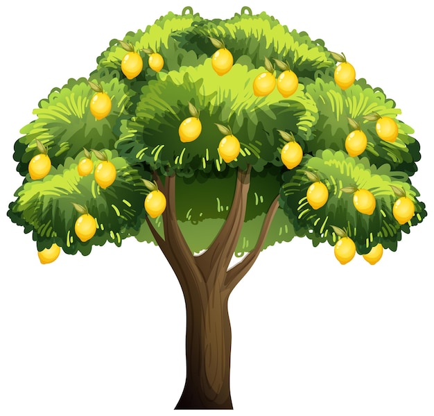 Free Lemon Tree Cliparts, Download Free Lemon Tree Cliparts png - Clip ...