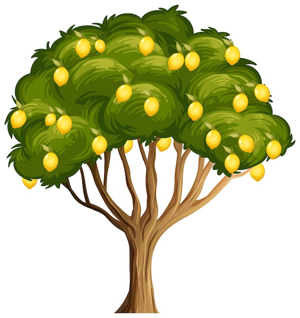 Lemon tree on transparent background illustration Stock Vector - Clip ...