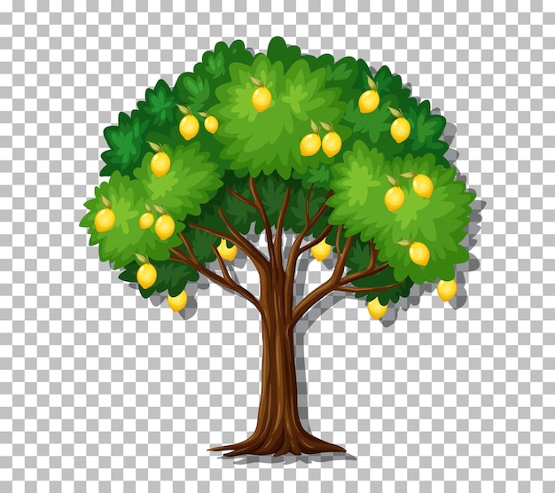 1,400+ Lemon Tree Illustrations, Royalty-Free Vector Graphics - Clip ...