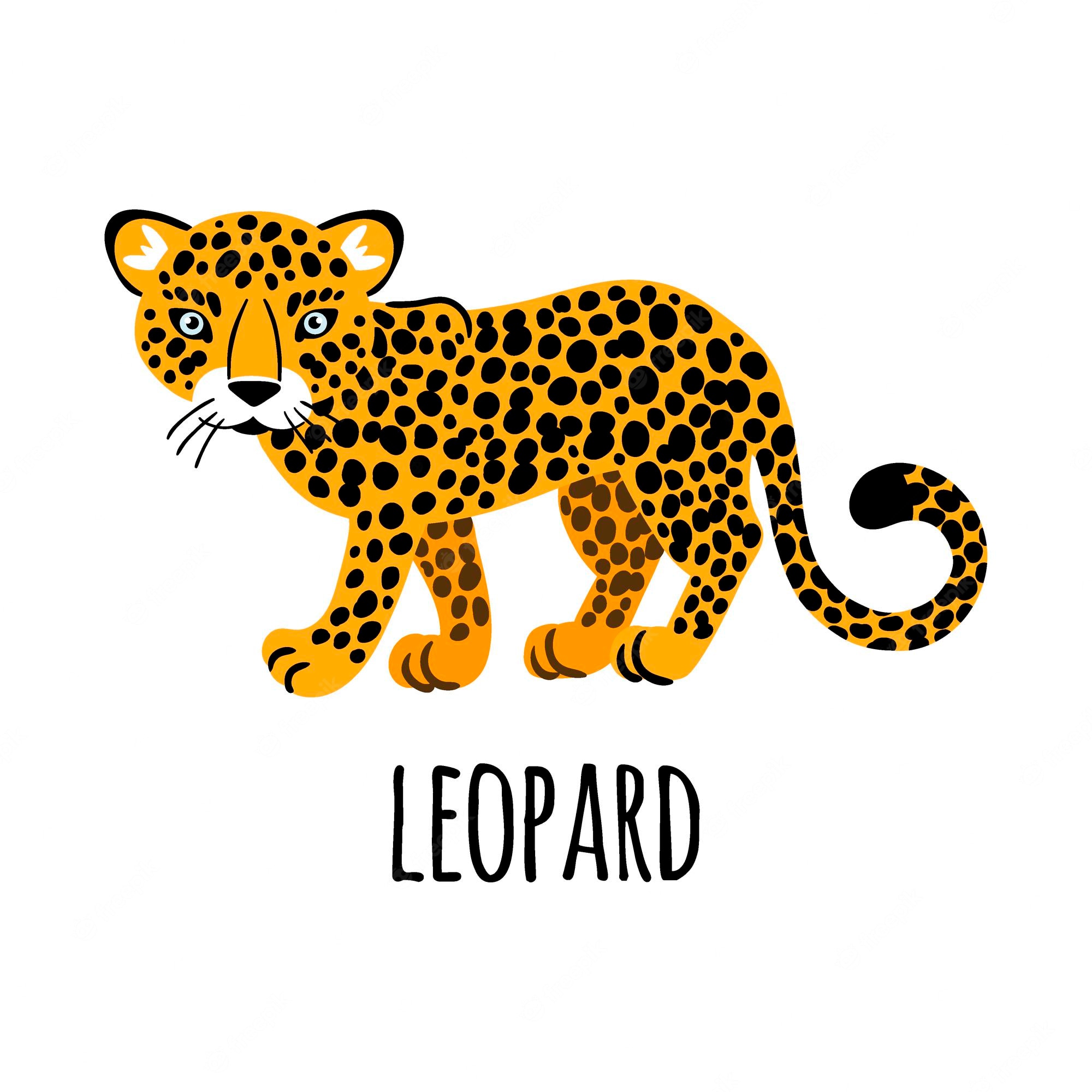 leopards - Clip Art Library