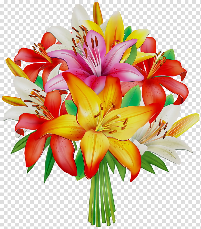 Vibrant bouquet of colorful lilies-pink, yellow, red, and white-with green leaves and stems on transparent background.