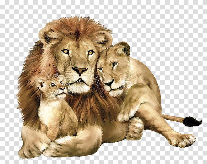 Lion Family Portrait - Pride of the Savannah | Wildlife Art