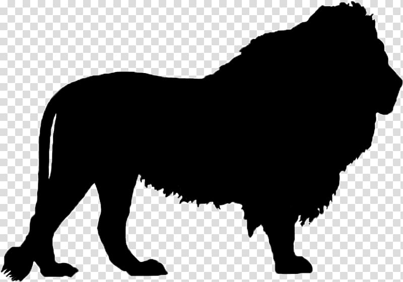 Black silhouette of a male lion standing in profile with full mane and tail tuft.
