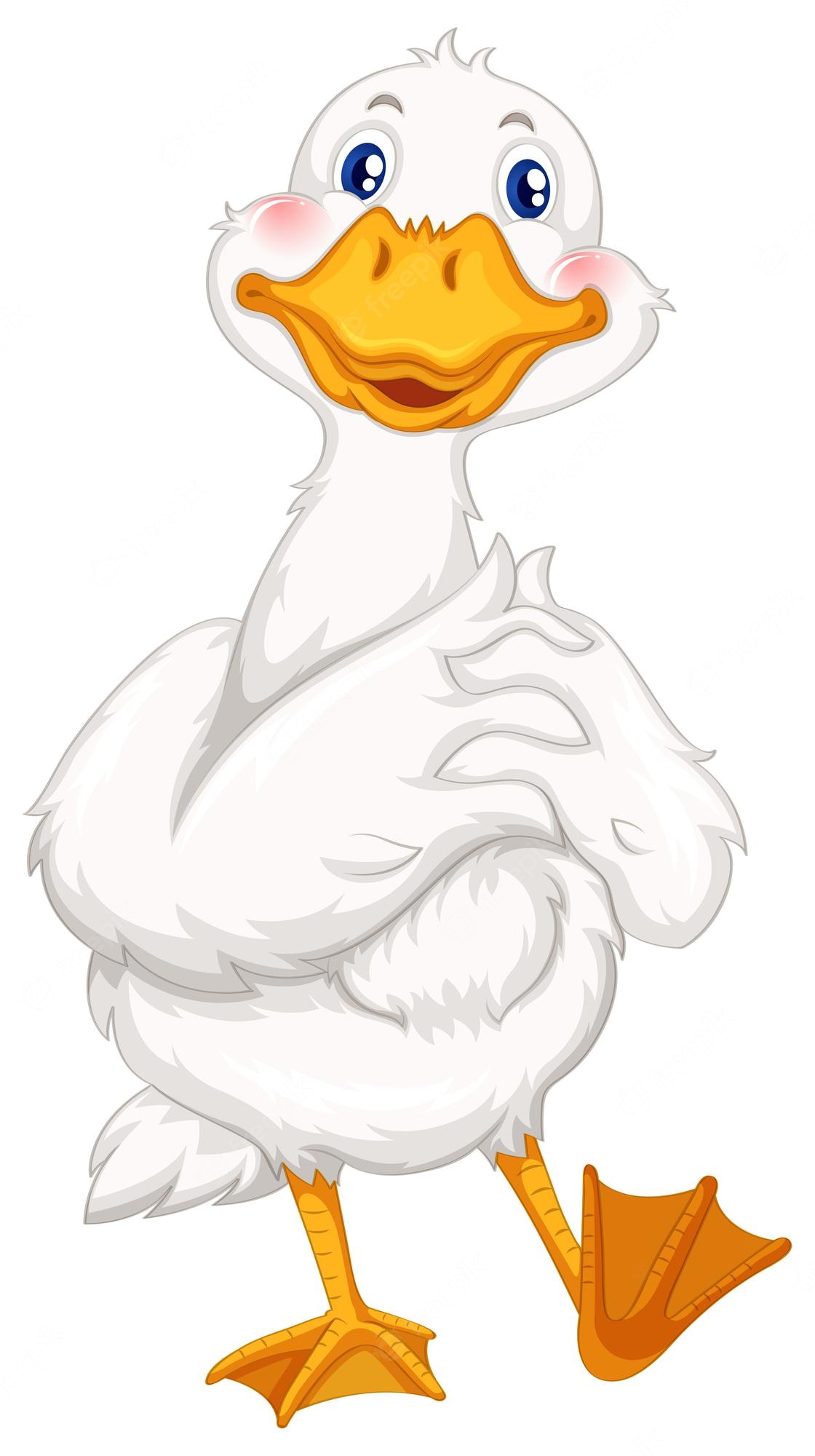 duck featherss - Clip Art Library