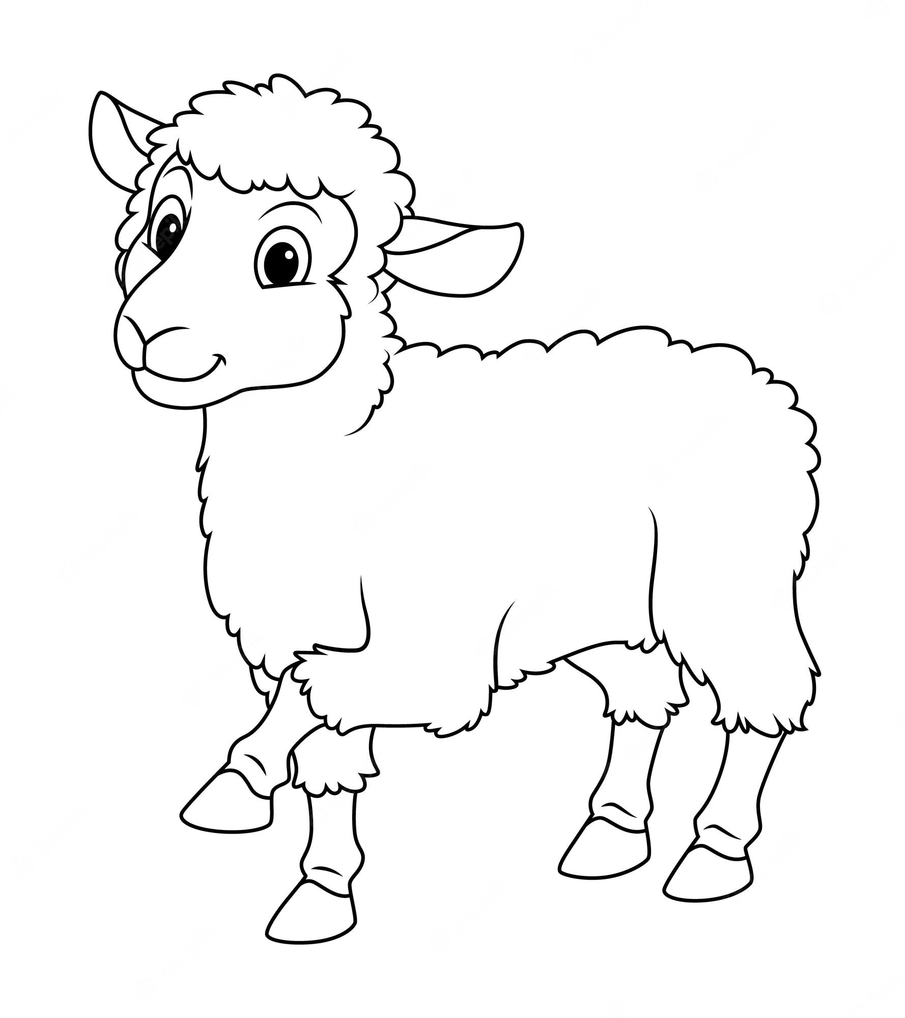 sheep-clipart-sheep-coloring-pages-for-kids-black-outline-50-off