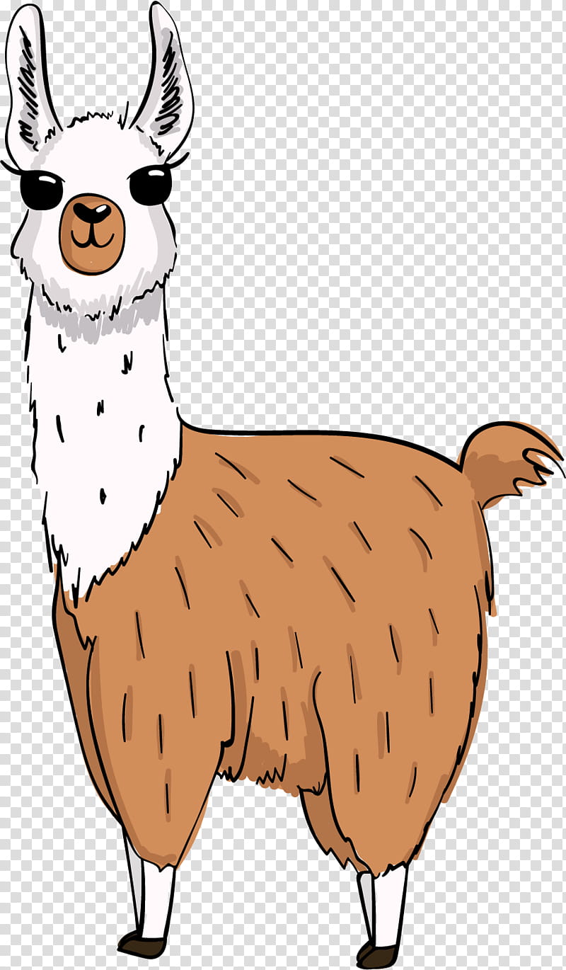 Cartoon llama with sunglasses, white face and neck, brown body, standing against transparent background.