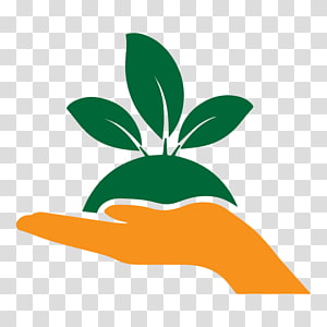 Sustainable Growth Icon - Hand Holding Plant Sprout