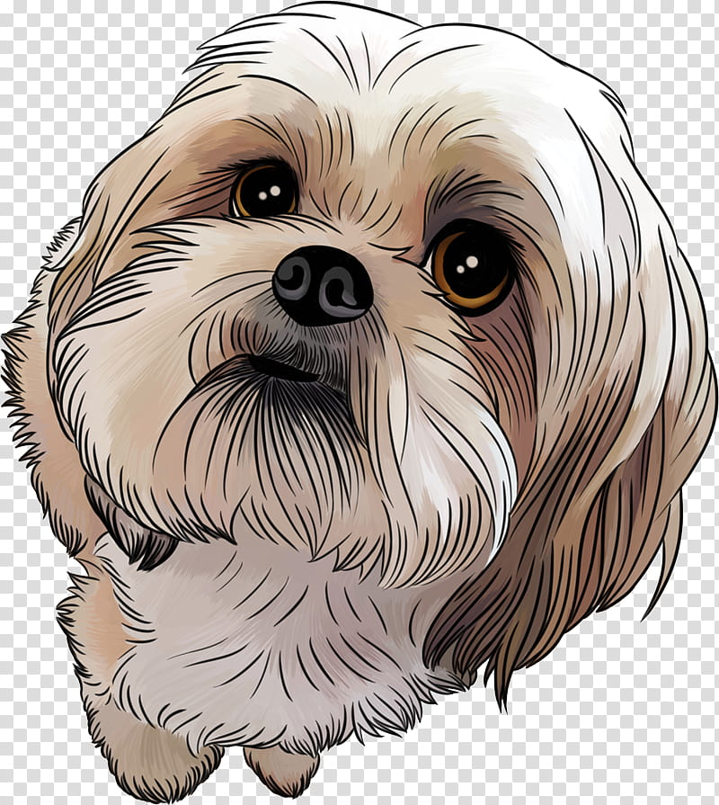 Shih Tzu Dog Illustration - Cute & Detailed Pet Art
