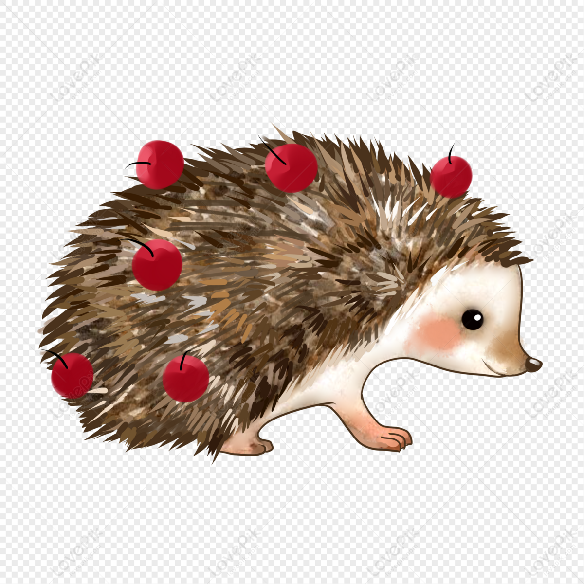 Free hedgehogs free, Download Free hedgehogs free png images, Free ...