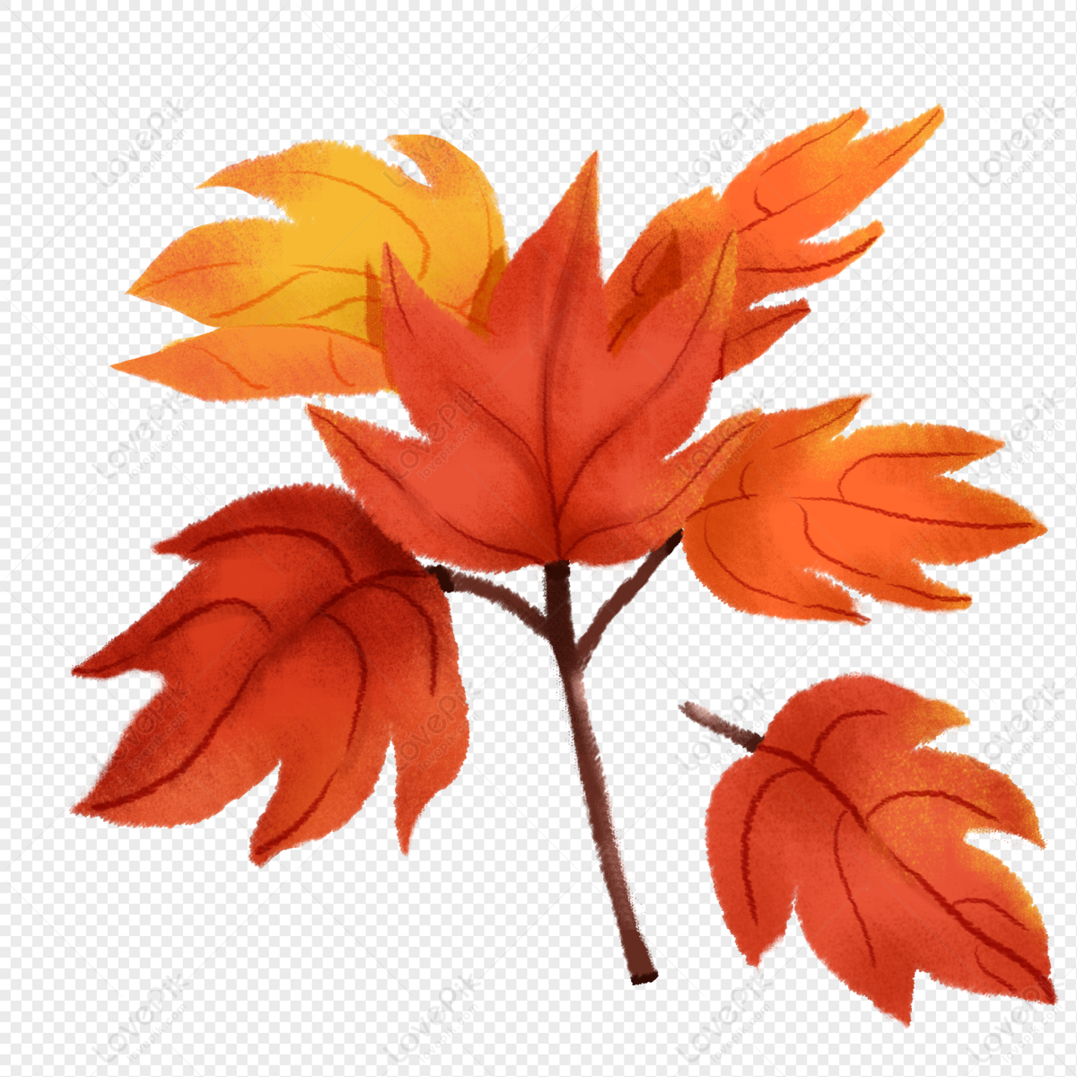 55,117 Maple leaf Vector Images  Depositphotos - Clip Art Library