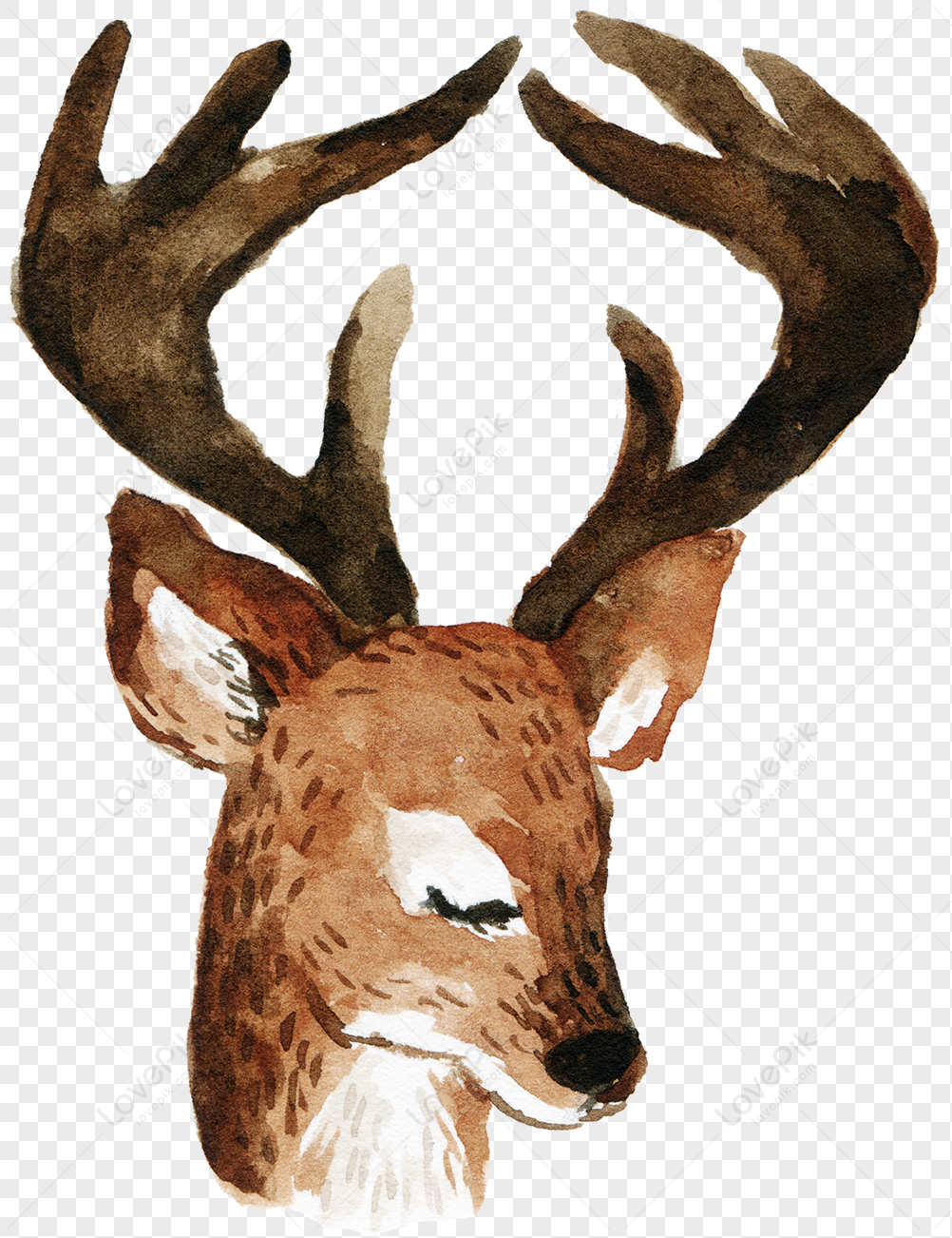 Watercolor illustration of a serene deer head with large antlers and closed eyes, rendered in earthy browns and whites.