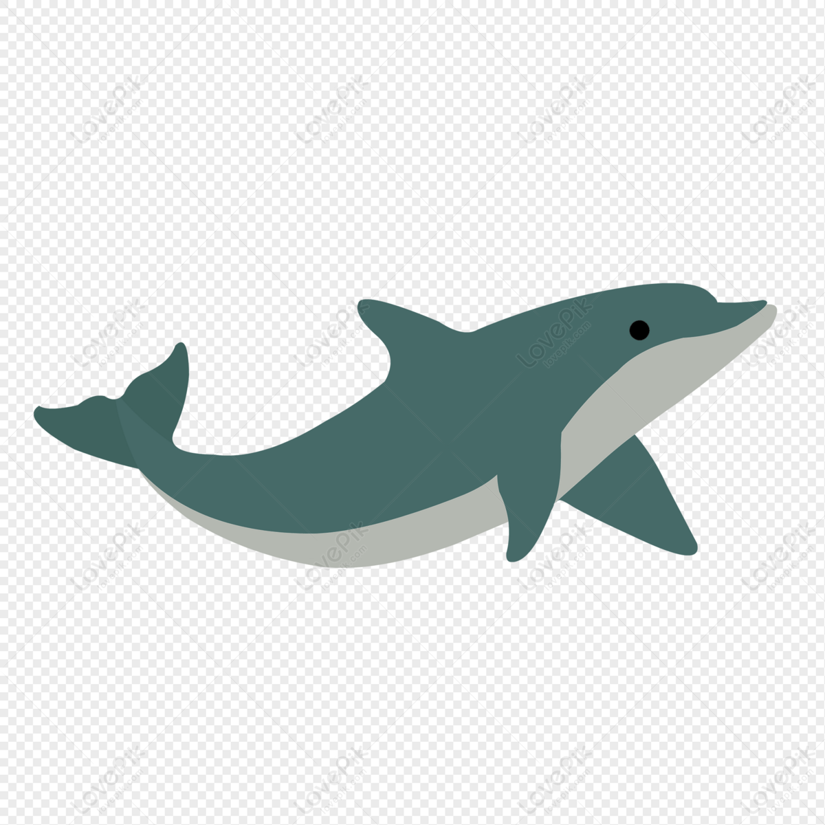 Flat-style illustration of a gray and light-gray dolphin swimming left to right on transparent background.
