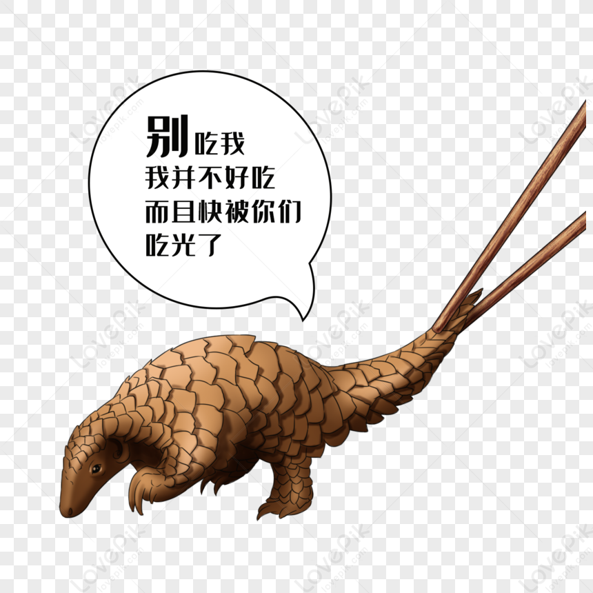A pangolin with a speech bubble saying "Don’t eat me-I’m not tasty and nearly gone!" with chopsticks approaching its tail.