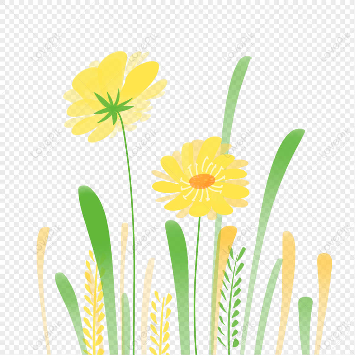 Two cheerful yellow daisies with green stems and leaves among tall grasses on transparent background.