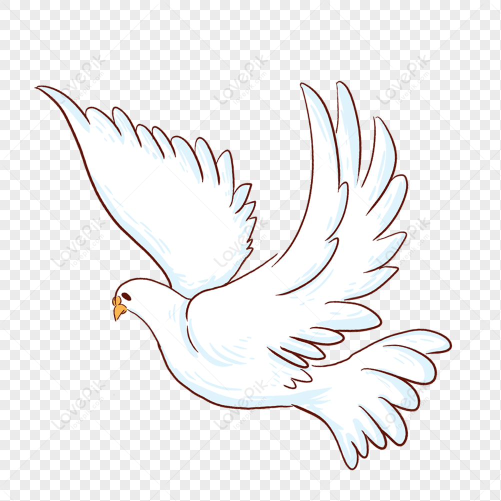 pigeons - Clip Art Library