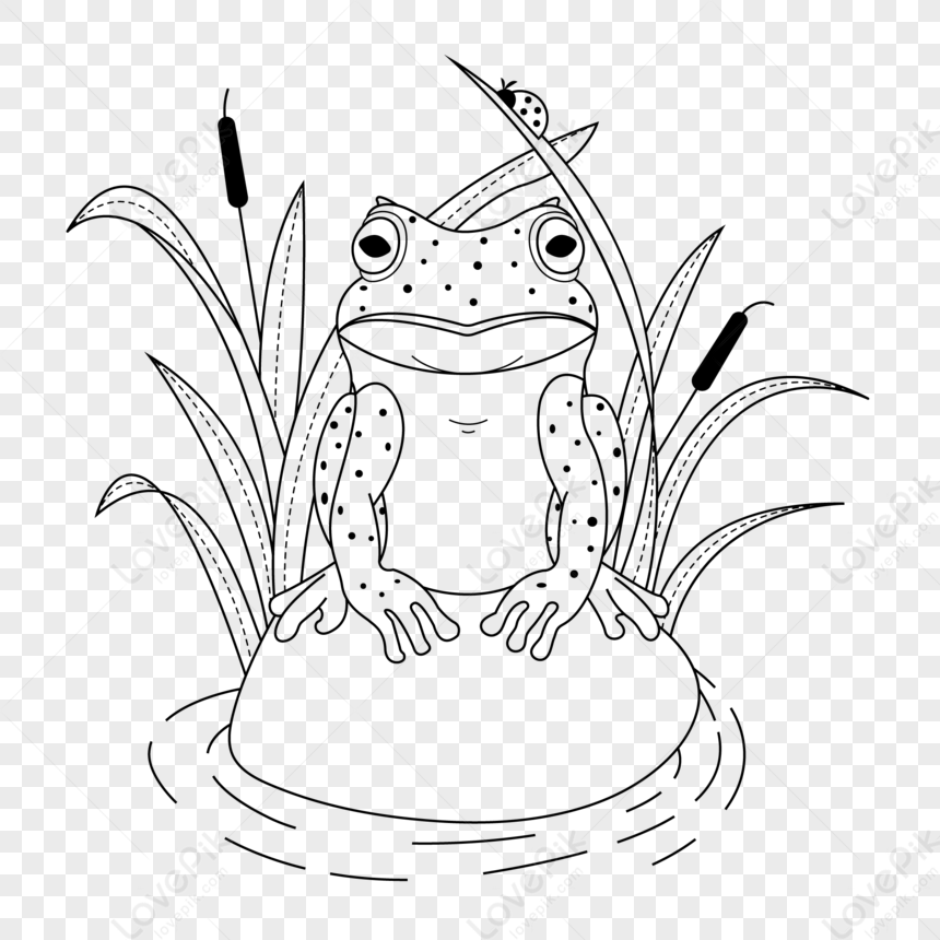 Frog Black And White Frogs Clip Art Waving Frog Vector Wikiclipart