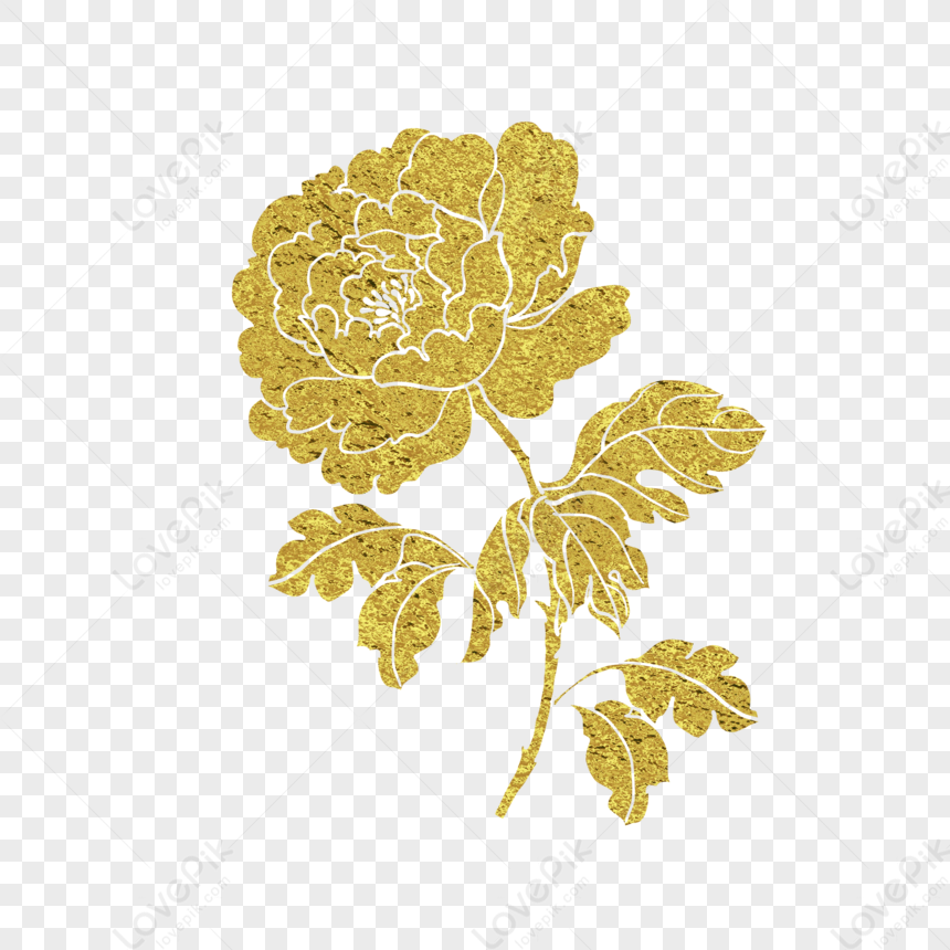 Golden peony flower with textured metallic finish and white outlines on transparent background.