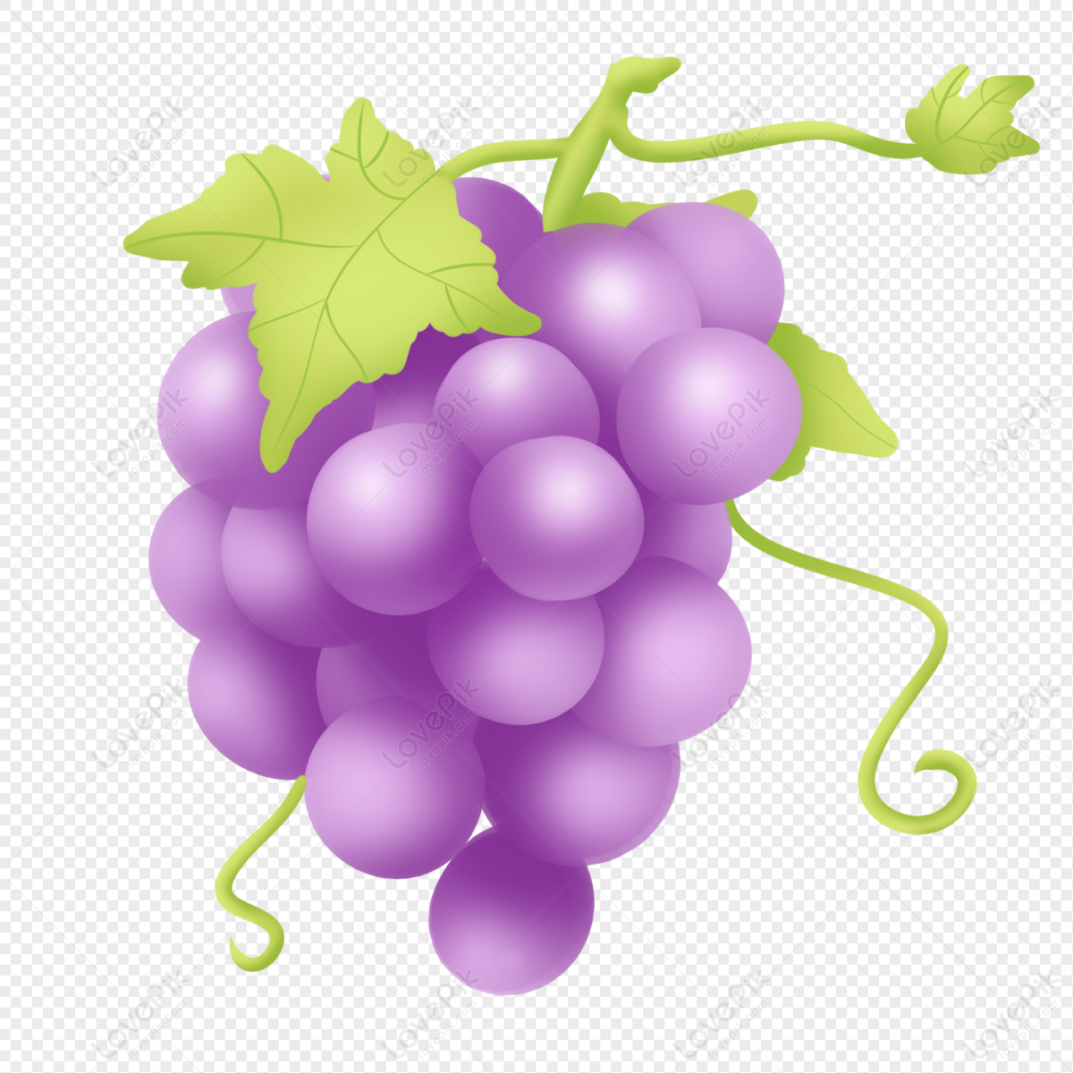 free-purple-grapes-cliparts-download-free-purple-grapes-cliparts