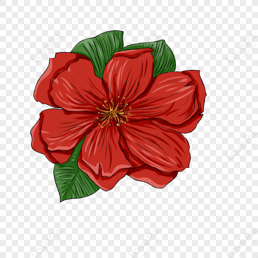 Red Hibiscus Flower Illustration - High-Quality PNG Download