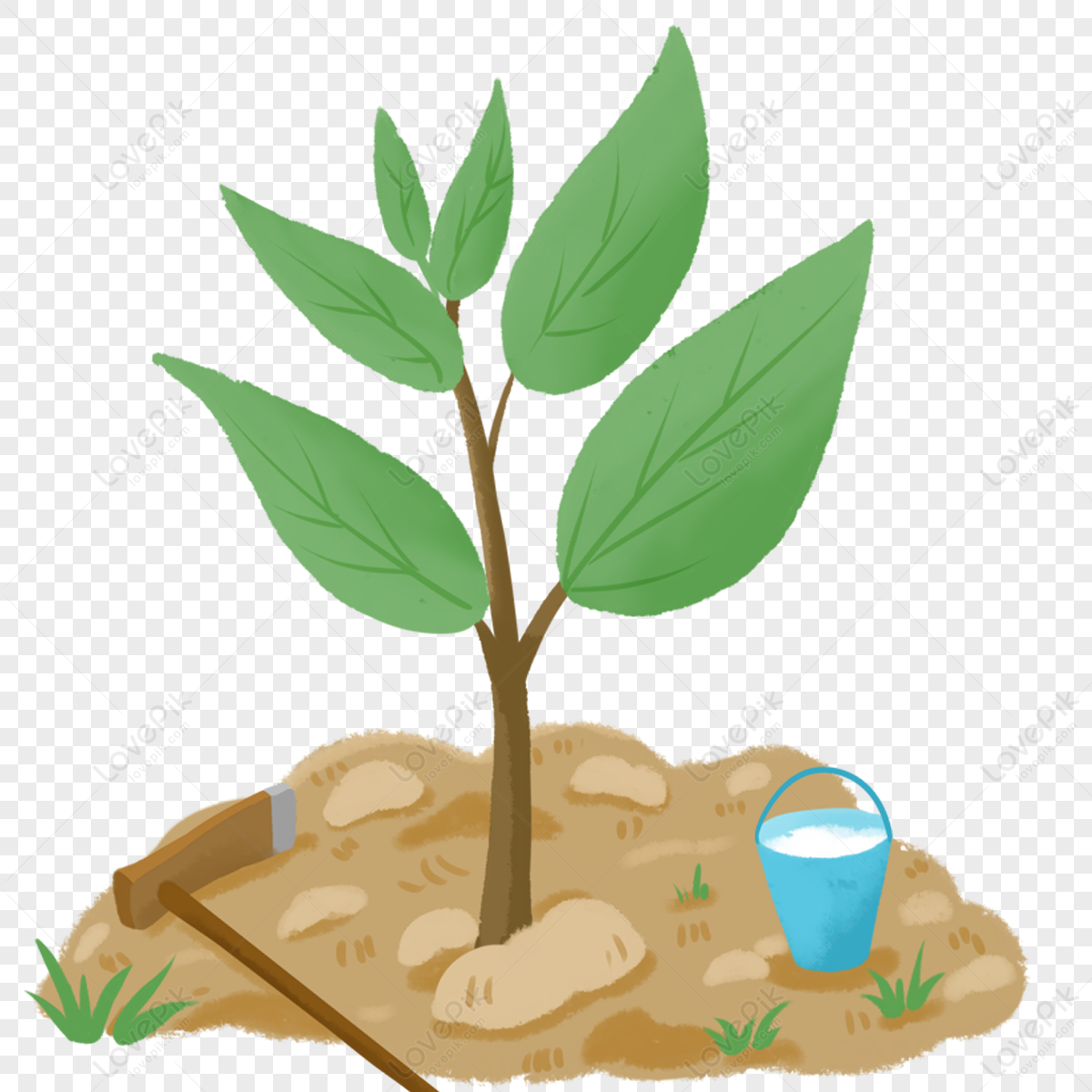 Seedling Clipart Sapling Cute Borders - Sapling Clipart Png - Clip Art ...