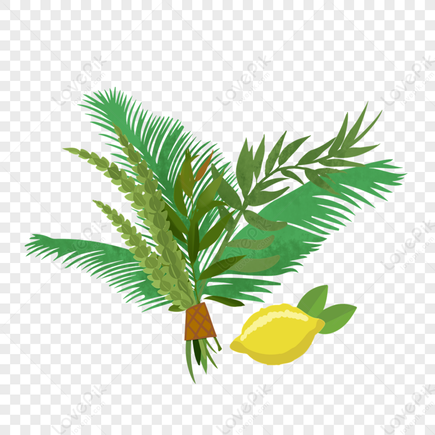 Download happy sukkot vector vector art choose from over a clip art