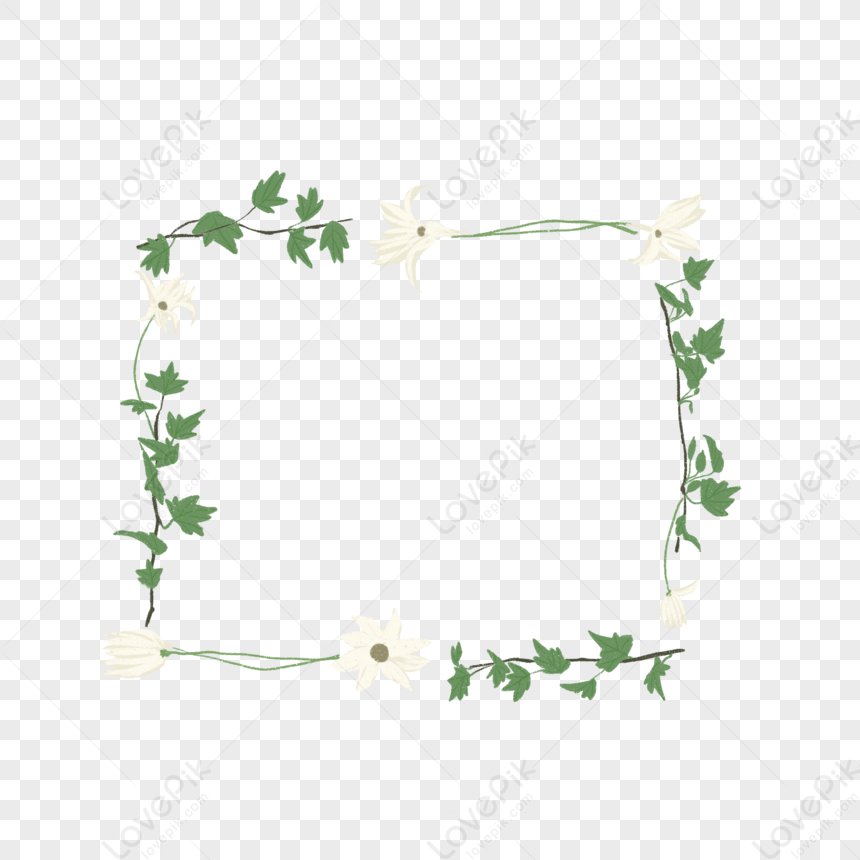 Delicate white flower and green vine border forming a square frame on transparent background.